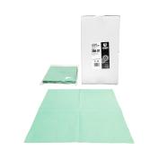 EvoWIPE 300-B1, green microfibre wipes, BOX 200 pcs (20 single packs x 10 pcs, single sheet dimension 40cm x 35cm)